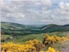 towards Dingwall and the Black Isle on the way to Inverness