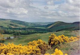 towards Dingwall and over the Cromarty Firth to the Black Isle